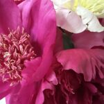 Flower Power
